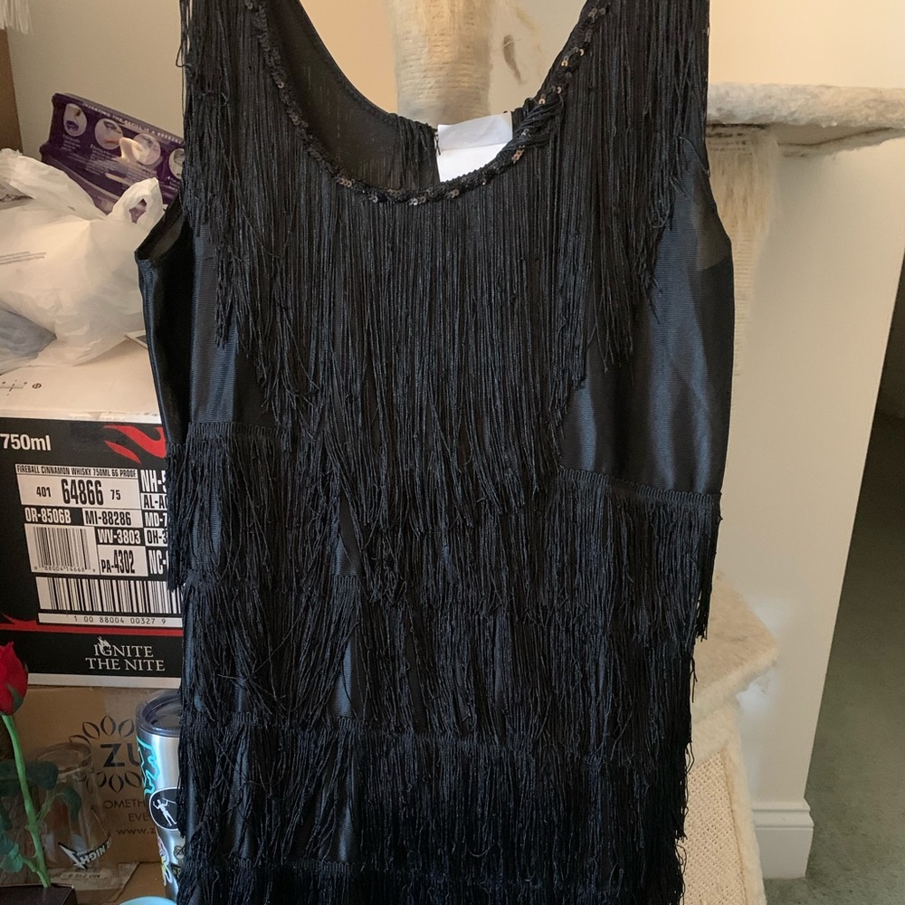 1920’s flapper dress
